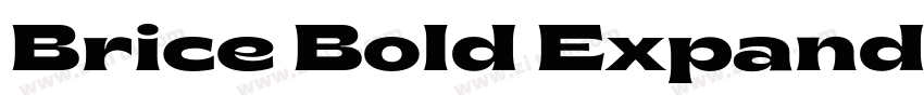 Brice Bold Expanded字体转换 Brice Bold Expanded字体转换
